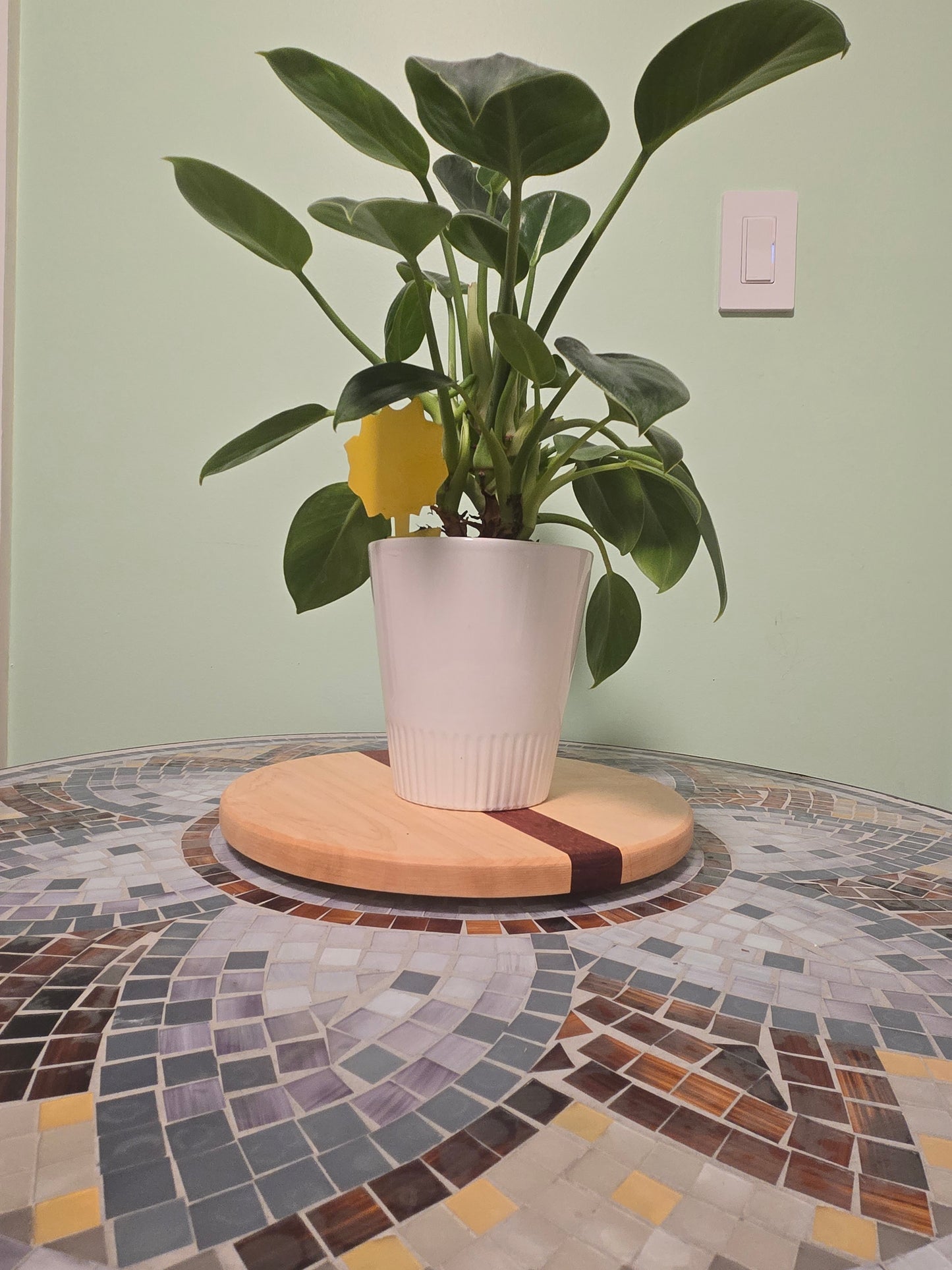 Maple & Padauk Lazy Susan