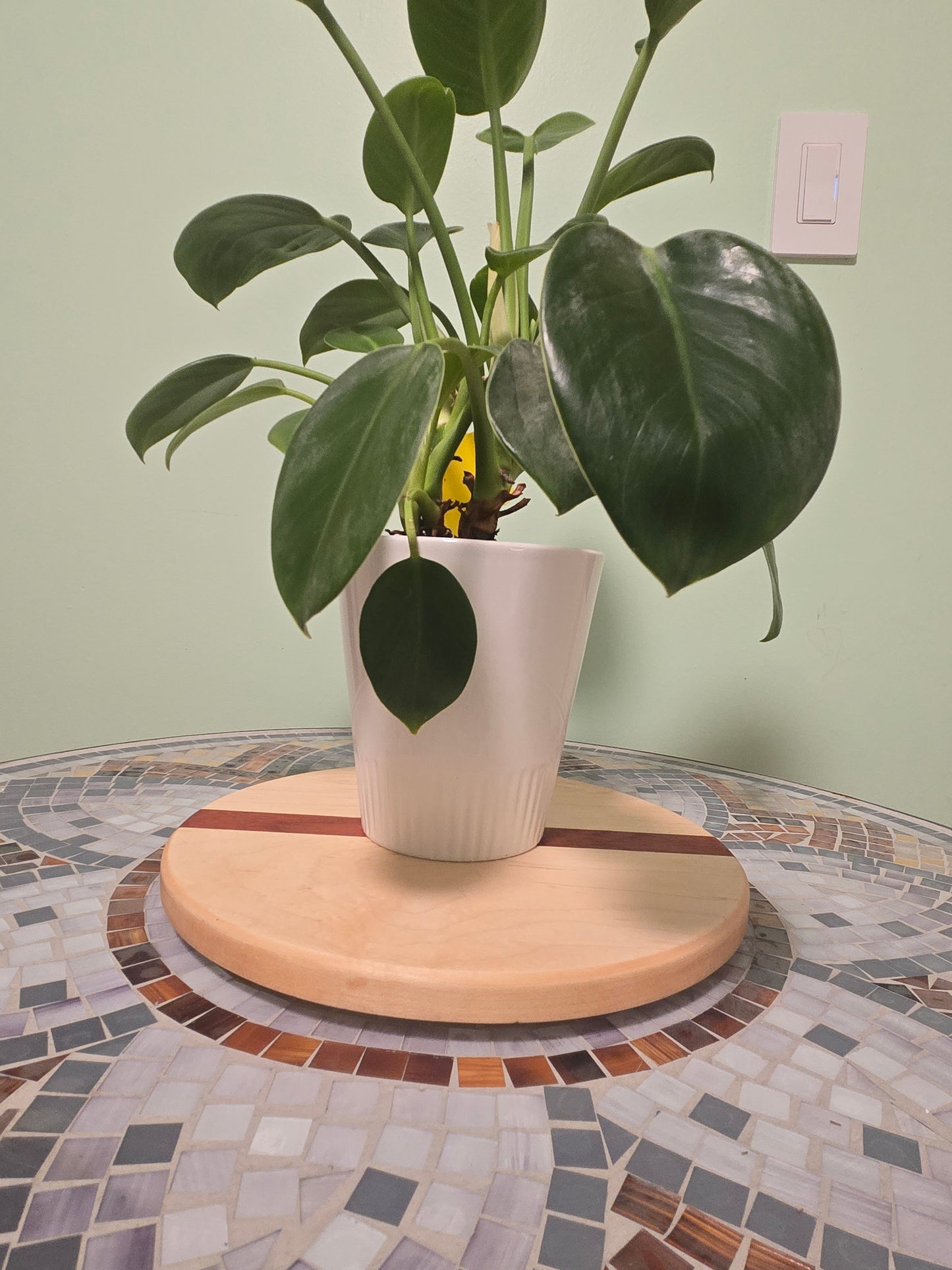 Maple & Padauk Lazy Susan